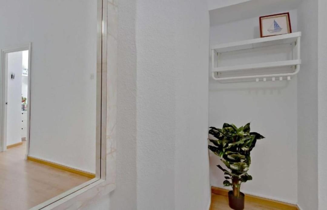 Magnifico Apartment